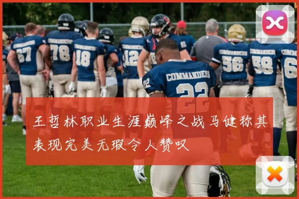 王哲林职业生涯巅峰之战马健称其表现完美无瑕令人赞叹